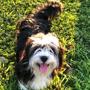 Meet your Posher, Christina